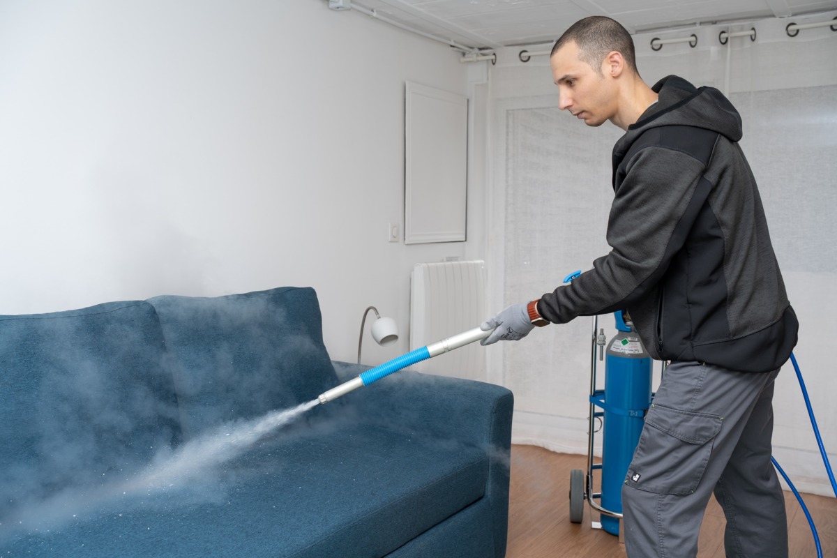 Préparer votre logement pour un traitement efficace contre la punaise de lit