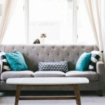 Punaise de lit et réputation sur Airbnb : Comment protéger votre hébergement et la satisfaction de vos invités